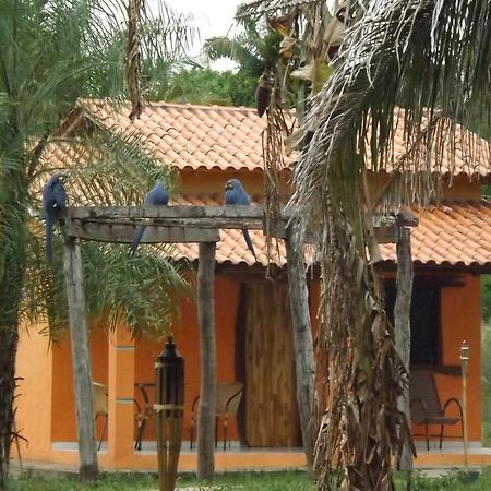 Poconé Pousada Reserva Ecologica Jaguar المظهر الخارجي الصورة