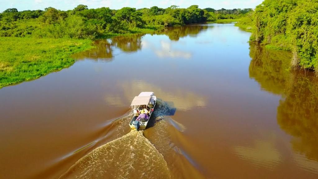 Poconé Pousada Reserva Ecologica Jaguar المظهر الخارجي الصورة