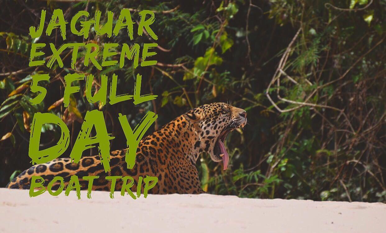 Poconé Pousada Reserva Ecologica Jaguar المظهر الخارجي الصورة